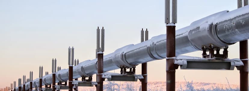 دورات تدريبية في الصناعات البتروكيميائية