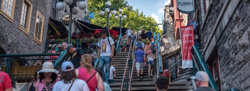 دورات تدريبية في الذكاء الاصطناعي للسياحة والضيافة